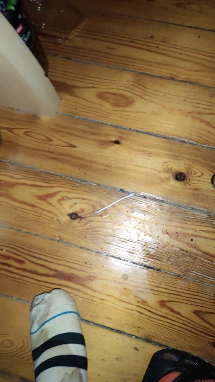 SmokedAlloy2: Les Dirtyjunkbro n’ont pas besoin de toilettes pour pisser. Il...