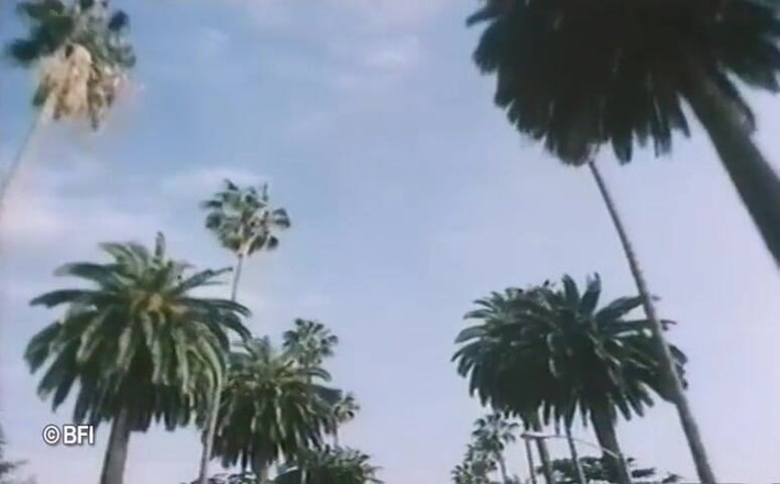 Vintage Vixens: 베벌리 힐스 빈티지 섹스 테이프 - 네덜란드 자막