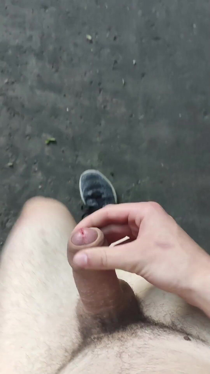 Skwabbr: 在树林里的小径上冒险撸管！