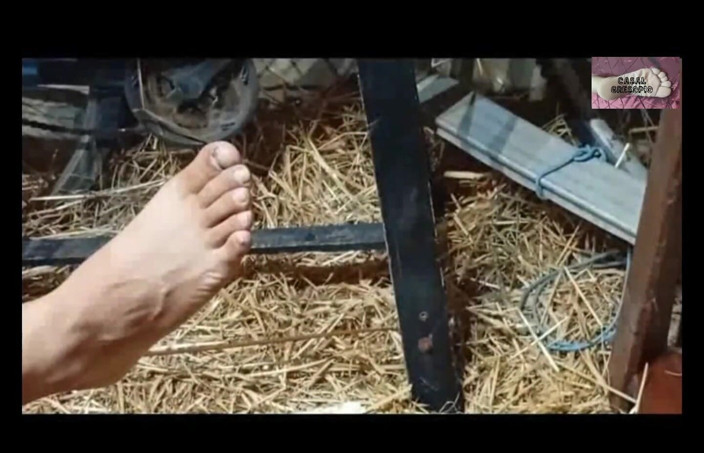 Casal Gresopio BDSM: Worshipping the Feet of My Lord 2