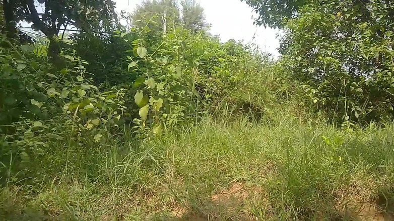 Public sex00: 公共の場でのインドの若い男の子のセックス