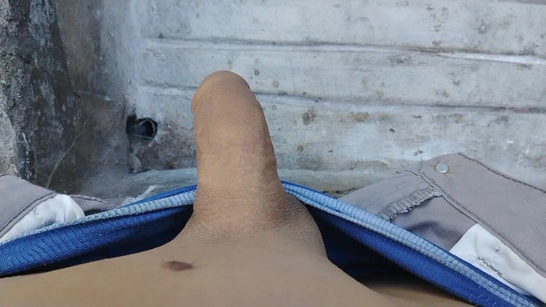 WolfGV: 사정 없는 아침