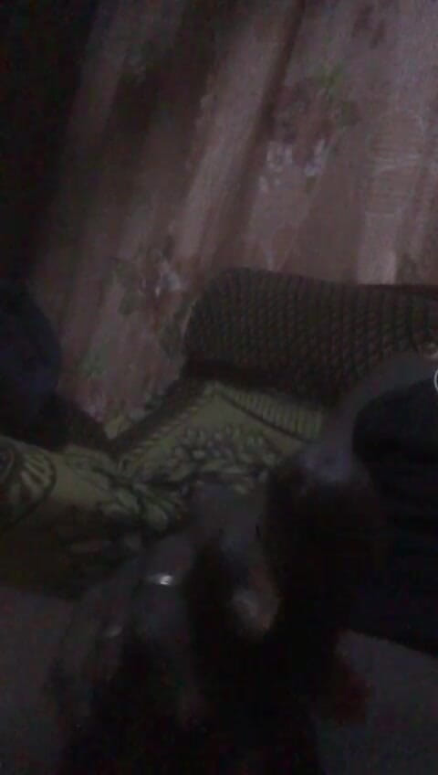 yobo1nene: Amadu