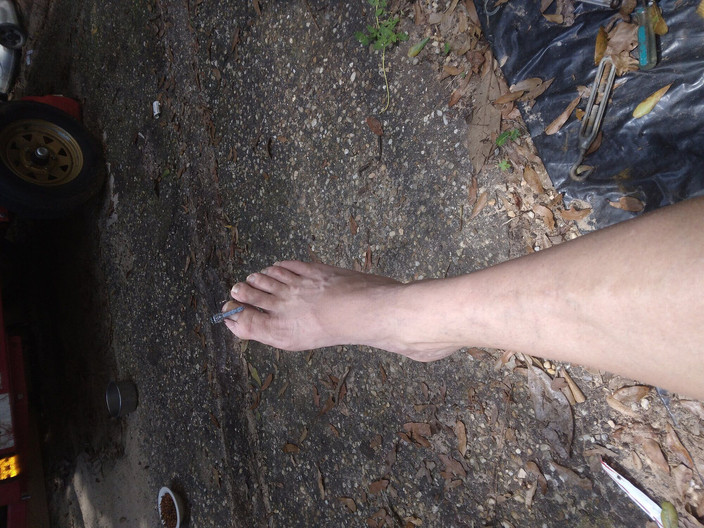 MrLeggs: Carne e Pés. Bolas e Bunda. uma aberração au natural...