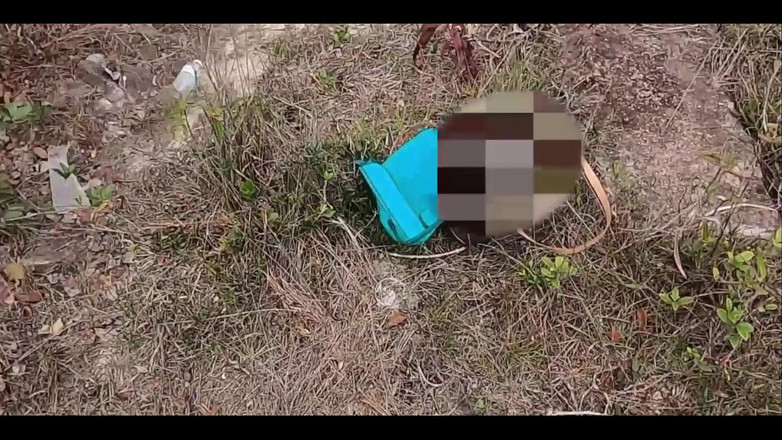 Anonymous Vlogger: 내 자지를 빨고 따먹어