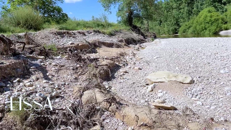 Lissa Brown: Lopen in natte sokken + dubbel plassen