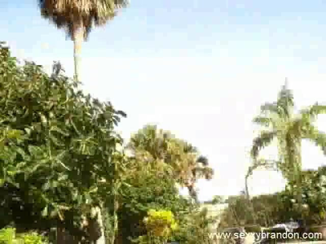 Sexxy Brandon: Sexxy brandon: keseruan di kolam renang: bagian 3