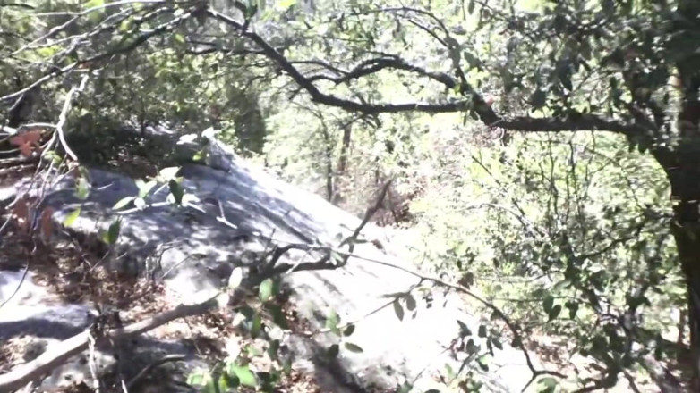 Sparks Go Wild: Pareja caliente monta una motocicleta por la montaña para follar