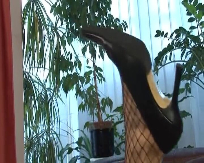 Deutsche XXX Filme: O matură sexy germană uimitoare savurează o pulă tare în pizda...