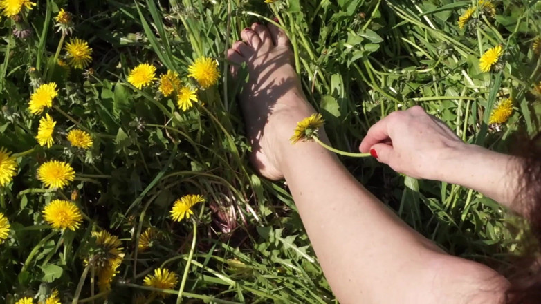 Natella Dance: Dandelion meadow