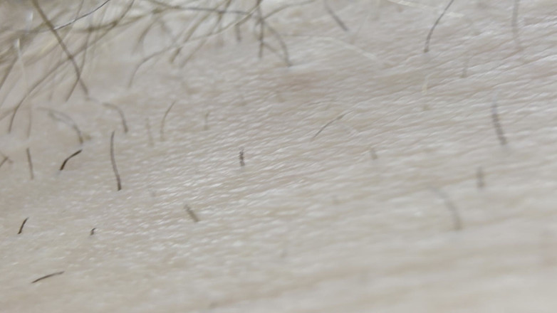 Nalekhome: Мой хуй в макро