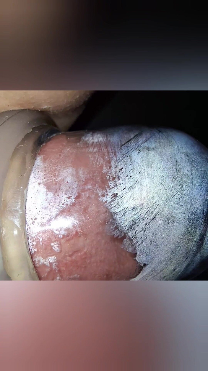 SklavinS_pervert: 奴隶一边为她的主人看电视一边抽插她的阴户！第1部分