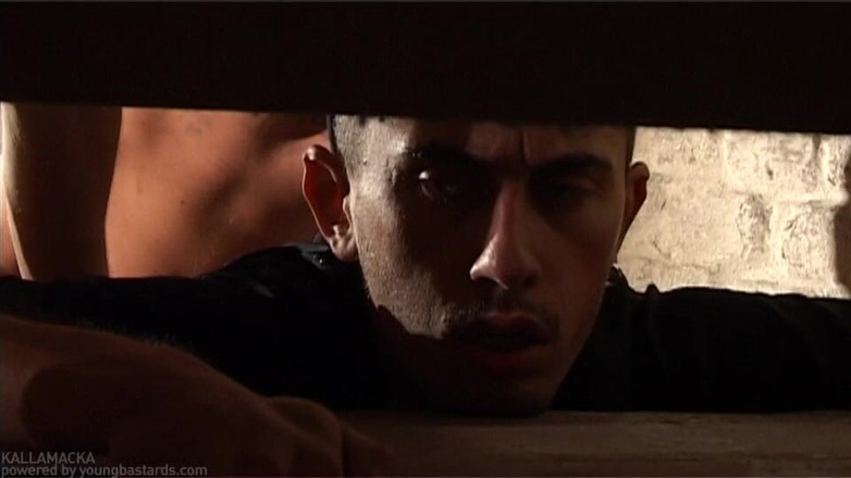 Young Bastards: Młody Macho Shag