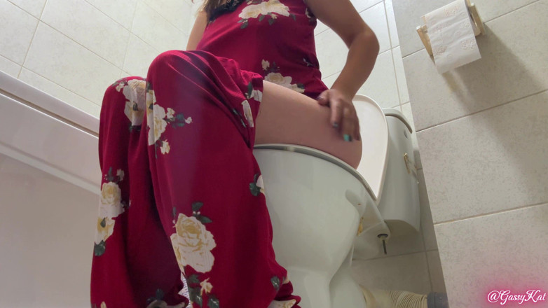 GassyKat: The Daily Toilet Season 3 Episode 3