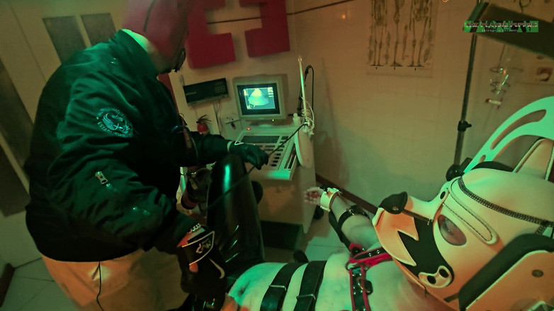 The Playing Puppies: 두 번째 검사에서 강아지를 재생