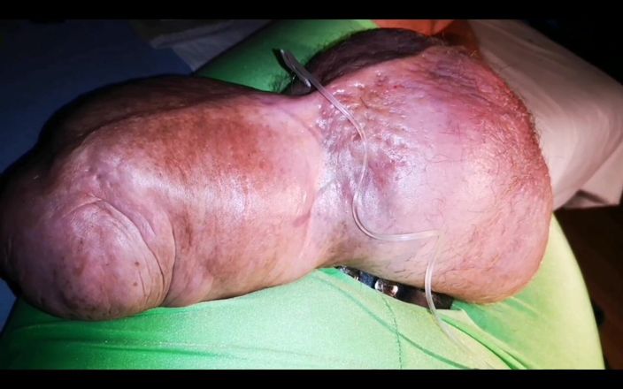 Monster_Meat_: Bola besar memantul dari kiri ke kanan