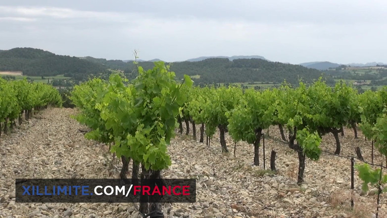 Made In France: Seks na świeżym powietrzu w winnicach