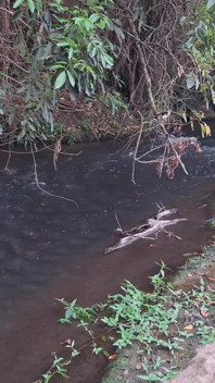 Spotkanie nieznajomych w Creek kończy się nieoczekiwanym seksem