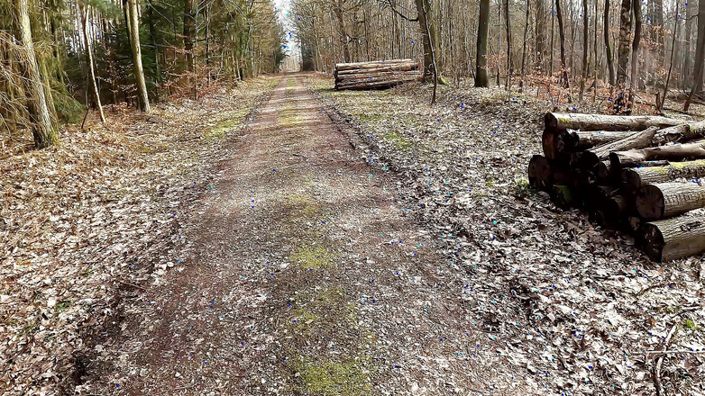 Bouncy Tits Action: Cewek sange ini lagi asik ngentot memeknya pakai celana dalam...