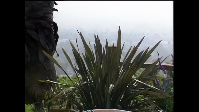 Blitzporn: Tommi Rose: Horká a dychtivá být tvrdě šukána venku