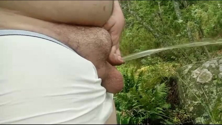 Big Pisser: 胖子在公园撒尿