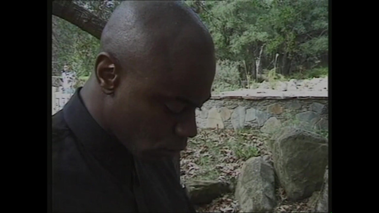 MMV films - The Original: Ormanın siyahı