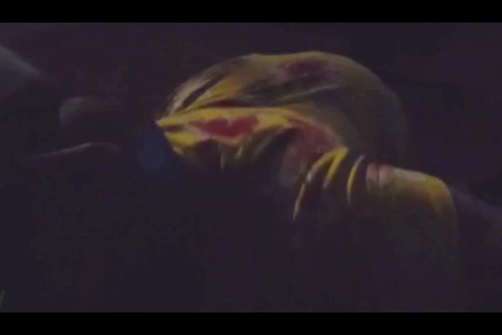 Fancydesire77: Teta Má pro mě narozeninové překvapení