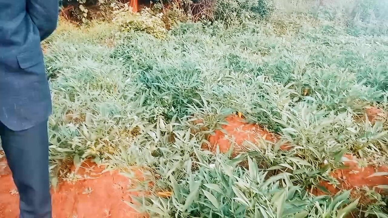 Judith xxx: Il mio ultimo video