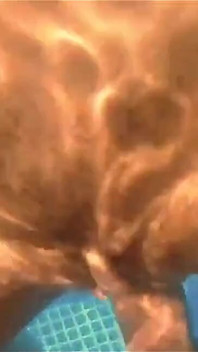 Hot Couple Pool Sex (the Neighbors Love When We Put on a Show!)
