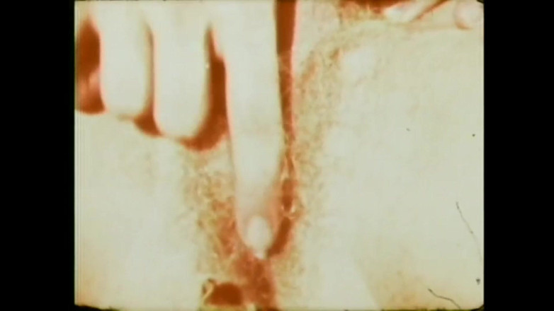 Vintage Megastore Full hd: Šílenství mé vagíny