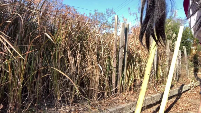 megu2002: Commande du coach No46 Urine anale en slip