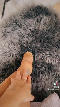 내 새로운 사랑