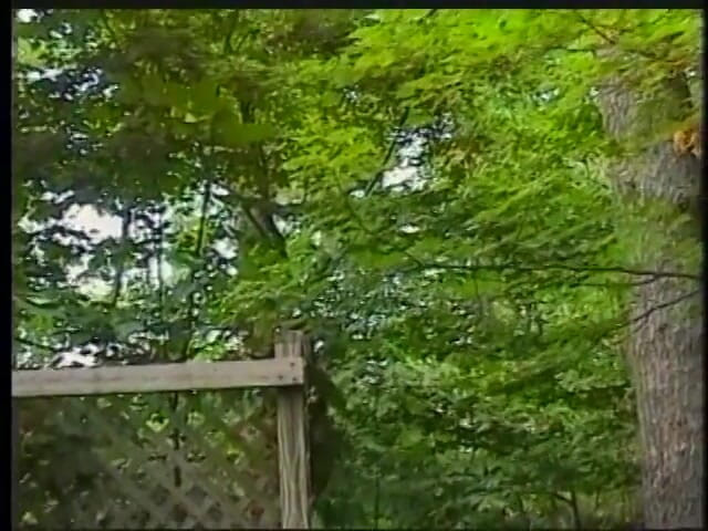 Gays Case: 숲에서 샤워 후 친구를 불면 친구가 불면