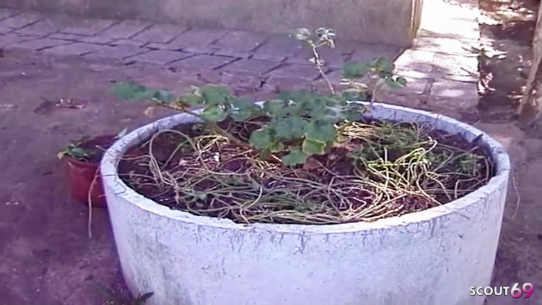 Shemale TS Collection: Bbc fa sesso all'aperto con una bionda interrazziale con grandi...