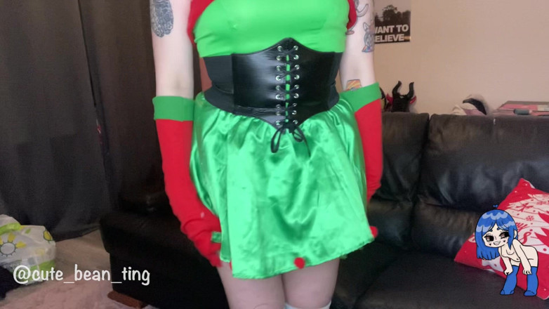Alice Bean: Fuzzy the Elf