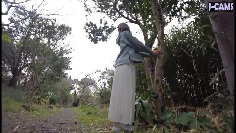 J-Cams: Ризикована гра для подорожей, побудована навколо постійної вібрації та витривалості, поки сила нарешті не закінчиться вібрацією-2