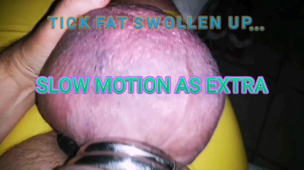 Monster_Meat_: Geschwollene saftige eier mit Silikon