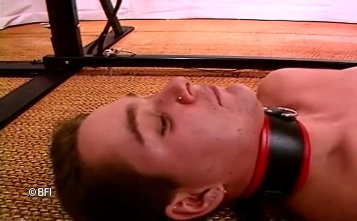 Bad Boys bedroom stories: sm homo - master and slave 1.