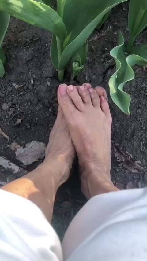 Naelor: Melove mit ihren kleinen füßen im freien im garten