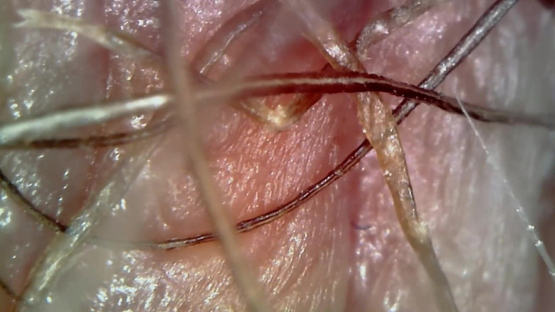 Nicoletta Embassi: 这个意大利熟女在公共厕所放屁和撒尿的轰动合集