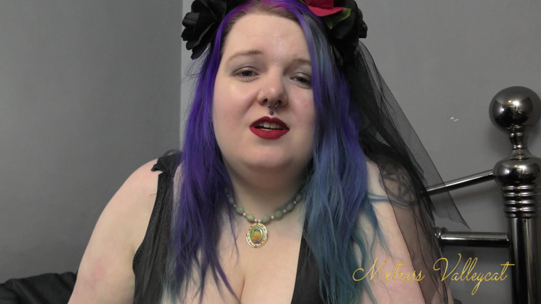 Mxtress Valleycat: Wypożyczenia przydziału