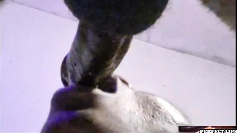 MS Perfect Lips: Perfect Lips-extra Sloppy POV Deepthroating Dick!!!