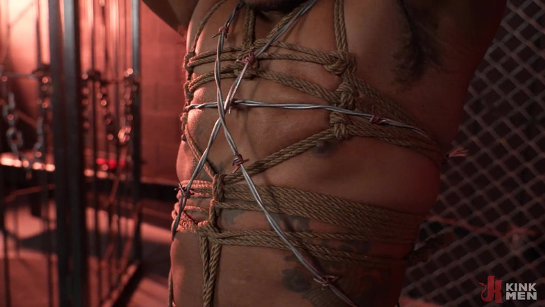 Taken rough: Chuột nhỏ tốt: davin mạnh mẽ và jake waters