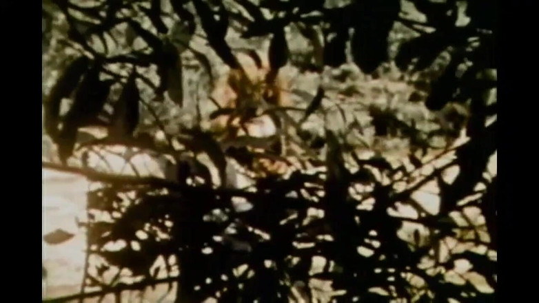 Vintage megastore: 给真正的雀斑复古红发爱好者（完整电影）