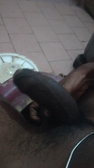 Tamil 10 inches BBC: Sorpresa de domingo para los aficionados!