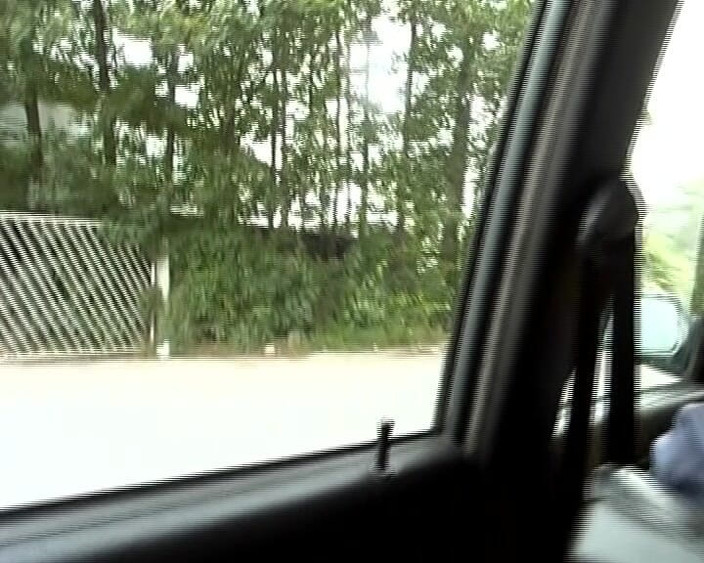 Deutscher hardcore: Si blonde comel Jerman ditembusi berganda di luar rumah