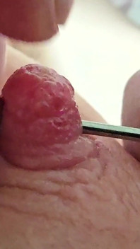 Polla sonando por mi piercing en los pezones largos, este fue mi primer inserto de polla