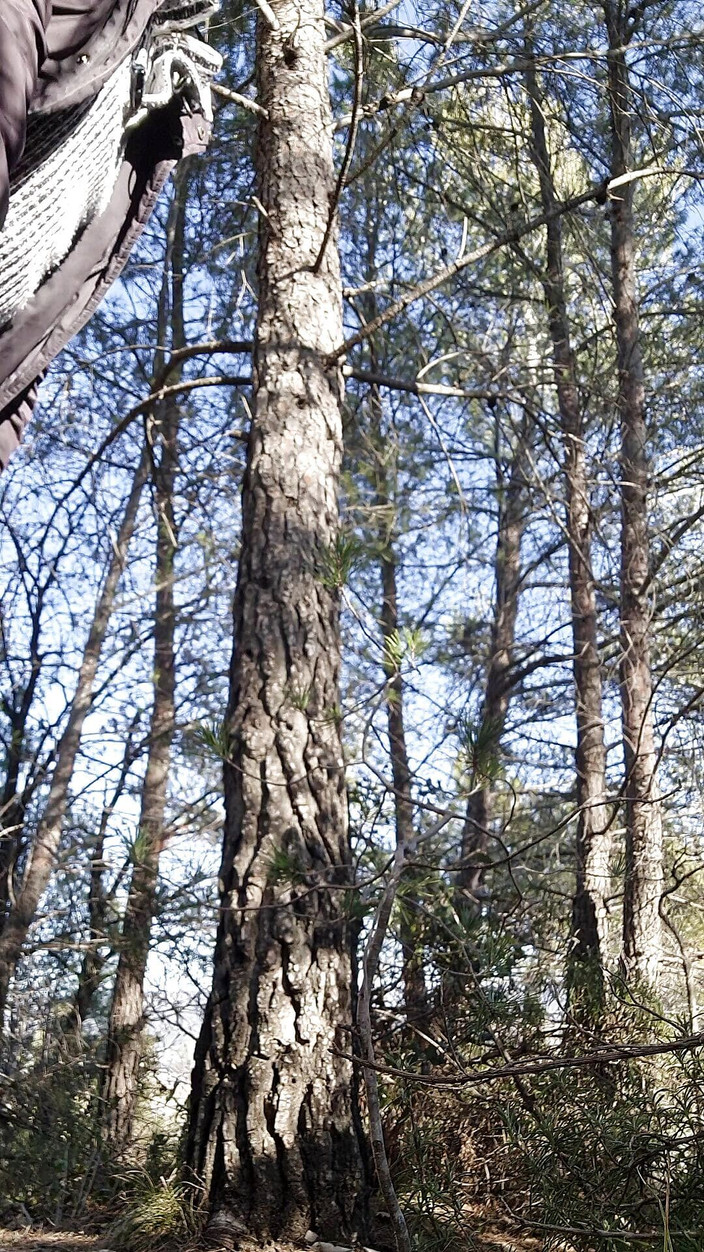 Giodicaprio: Hraji děvku