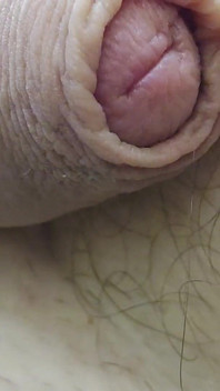 My Dick on Macro