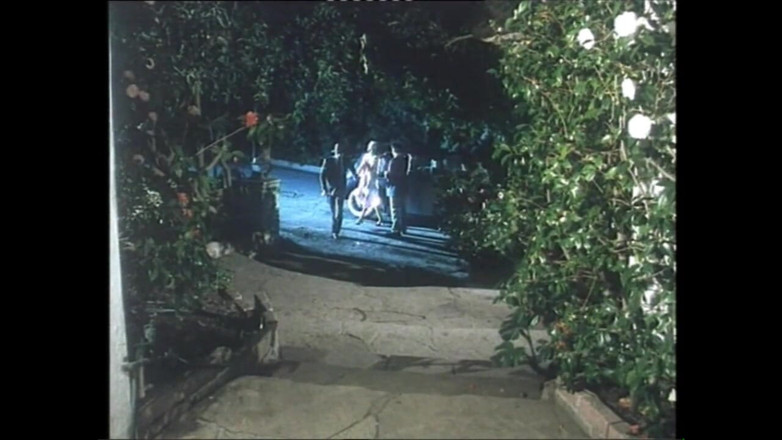 Vintage megastore: Ba máy bay bà già xinh đẹp với âm hộ đầy lông bị đụ...